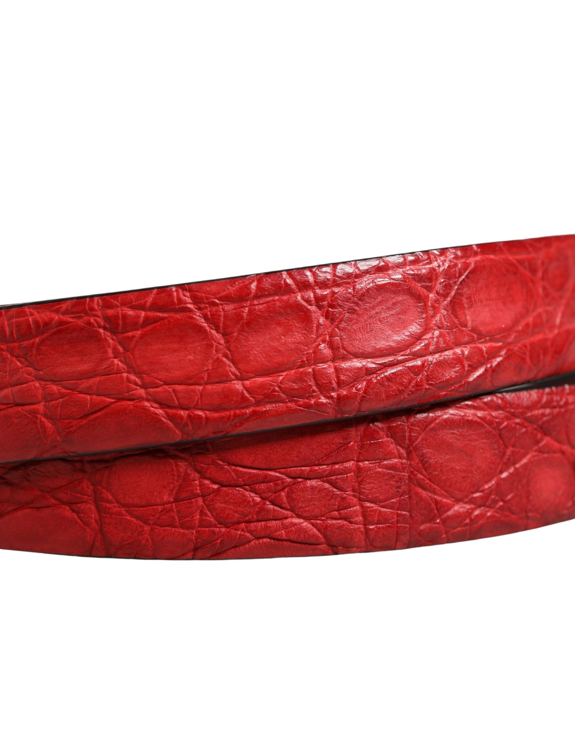 Dolce & Gabbana Men Red Exotic Leather Metal Buckle Belt - Luxe Marca