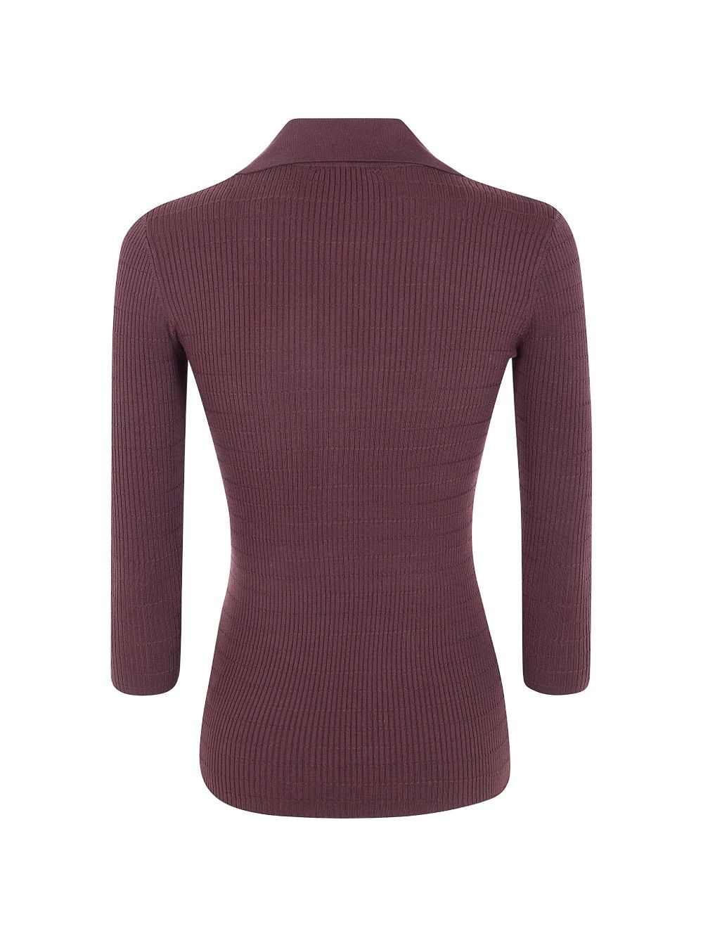 Elisabetta Franchi Sweaters Brown