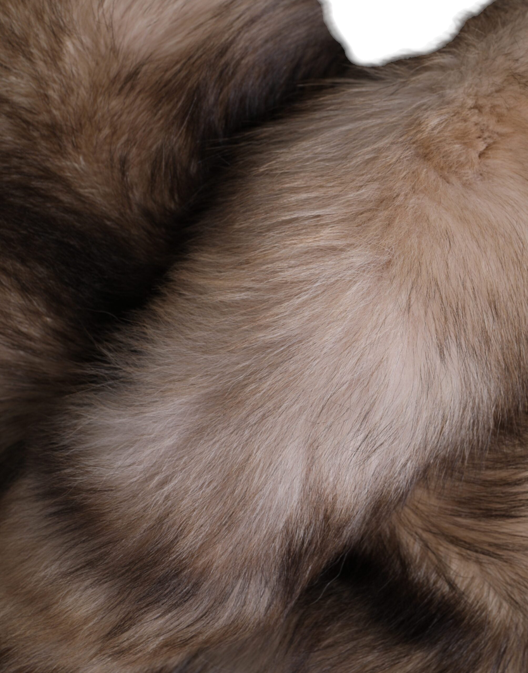 وشاح شتوي دافئ للرقبة من فرو الثعلب البني من دولتشي آند غابانا