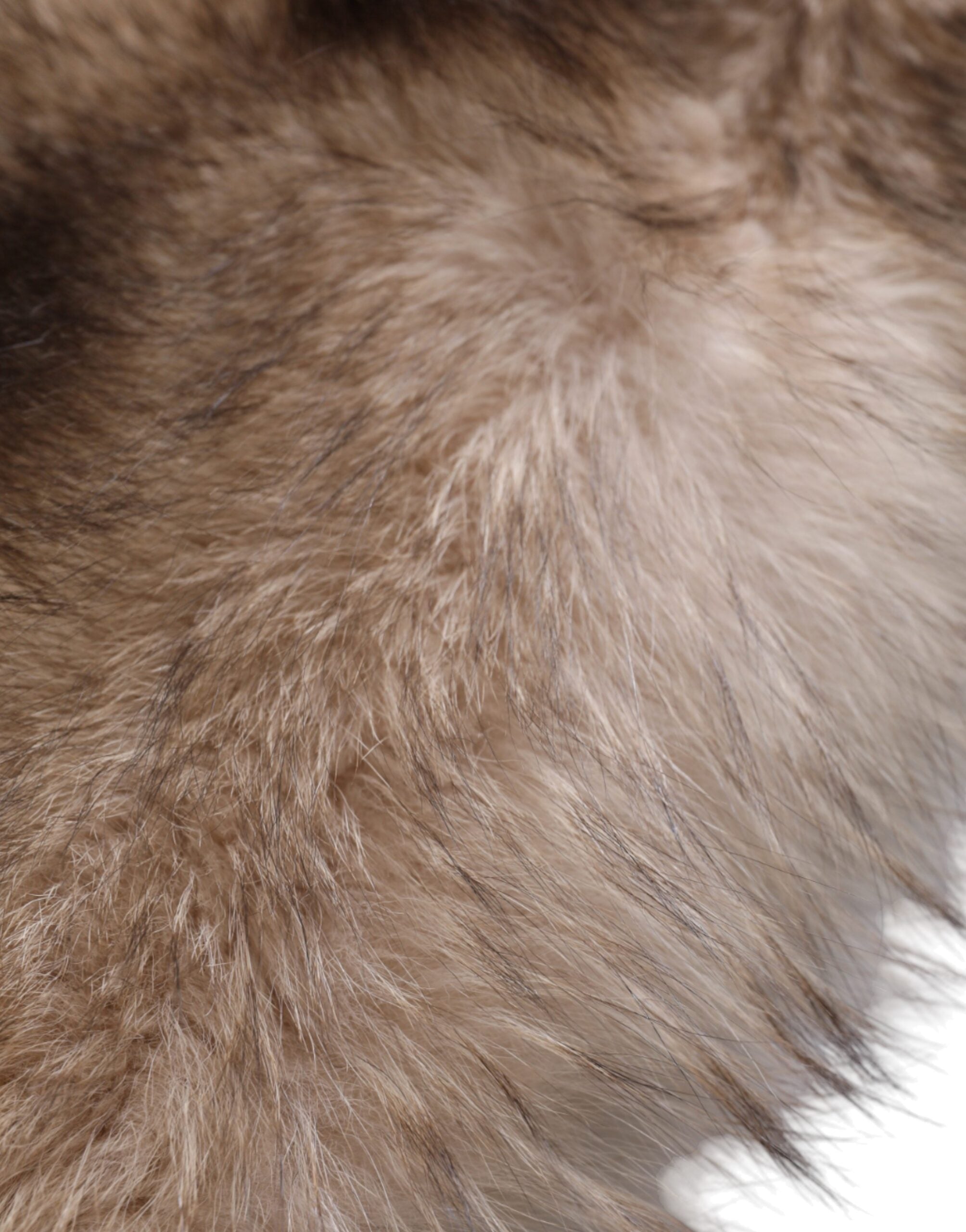 وشاح شتوي دافئ للرقبة من فرو الثعلب البني من دولتشي آند غابانا