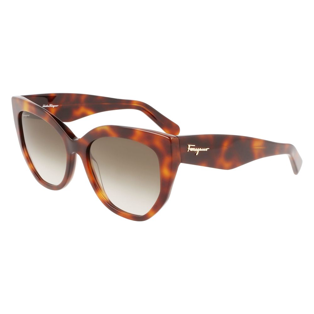 Ferragamo Brown Acetate Sunglasses - Luxe Marca