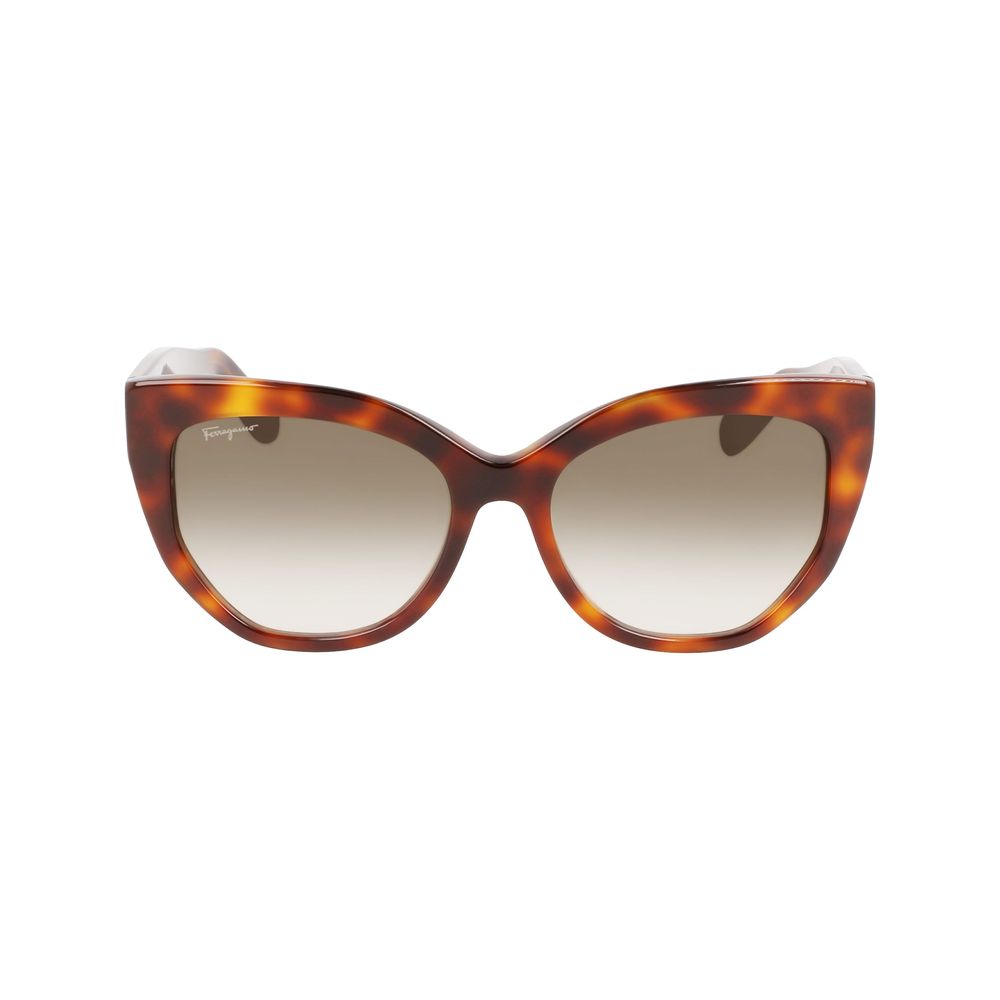 Ferragamo Brown Acetate Sunglasses - Luxe Marca