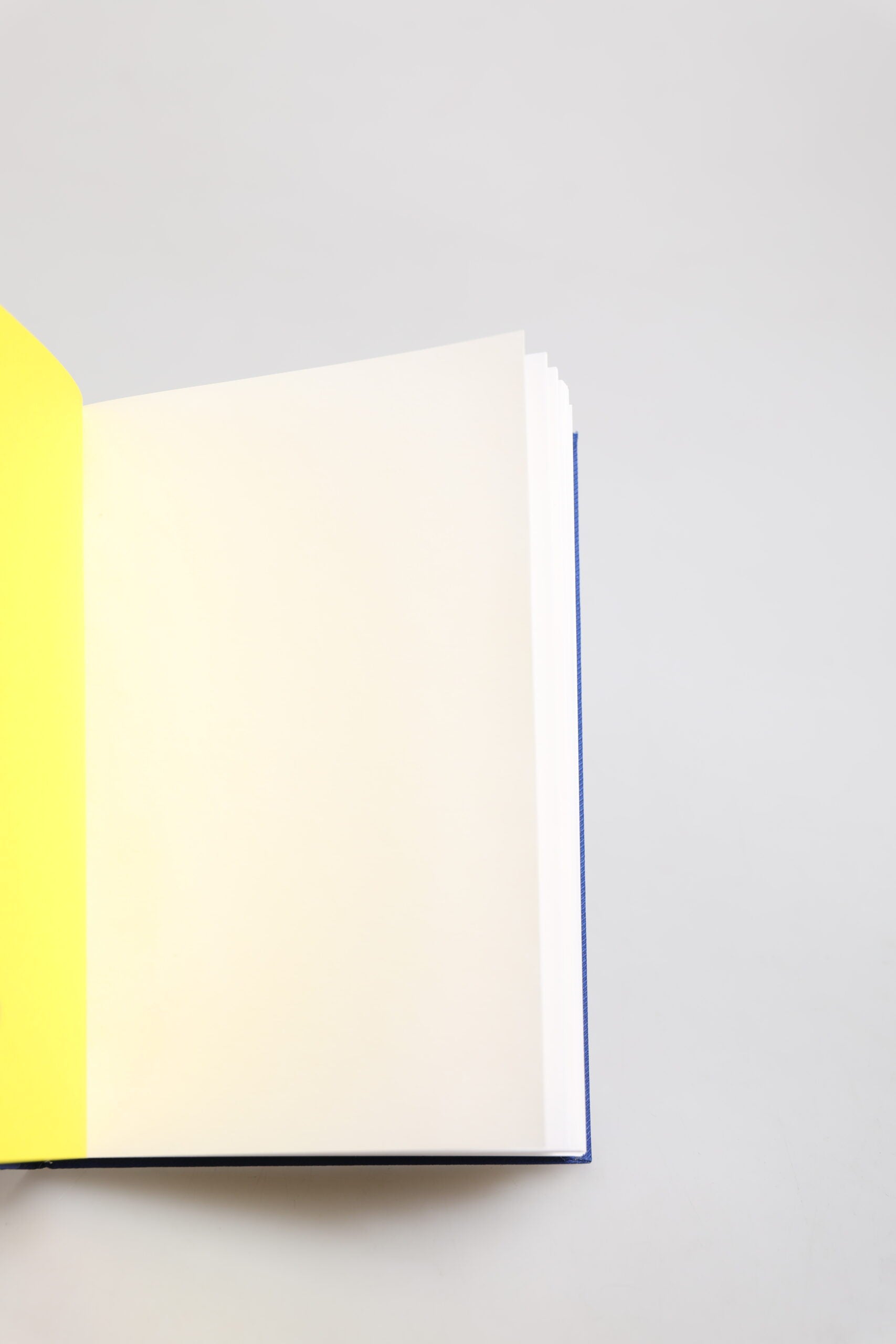 دفتر دولتشي آند غابانا متعدد الألوان من البوليستر بطباعة كاريتو سيسيليانو