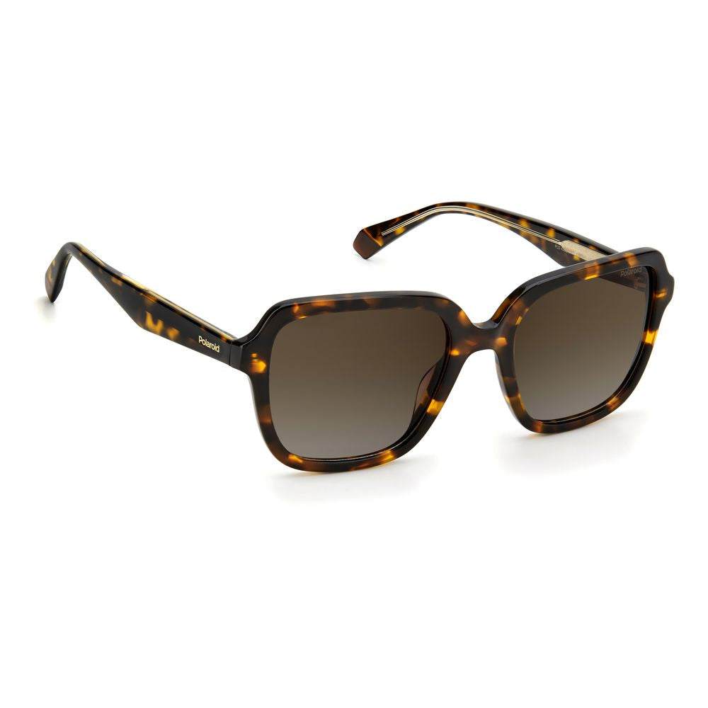 Polaroid Brown Acetate Sunglasses - Luxe Marca
