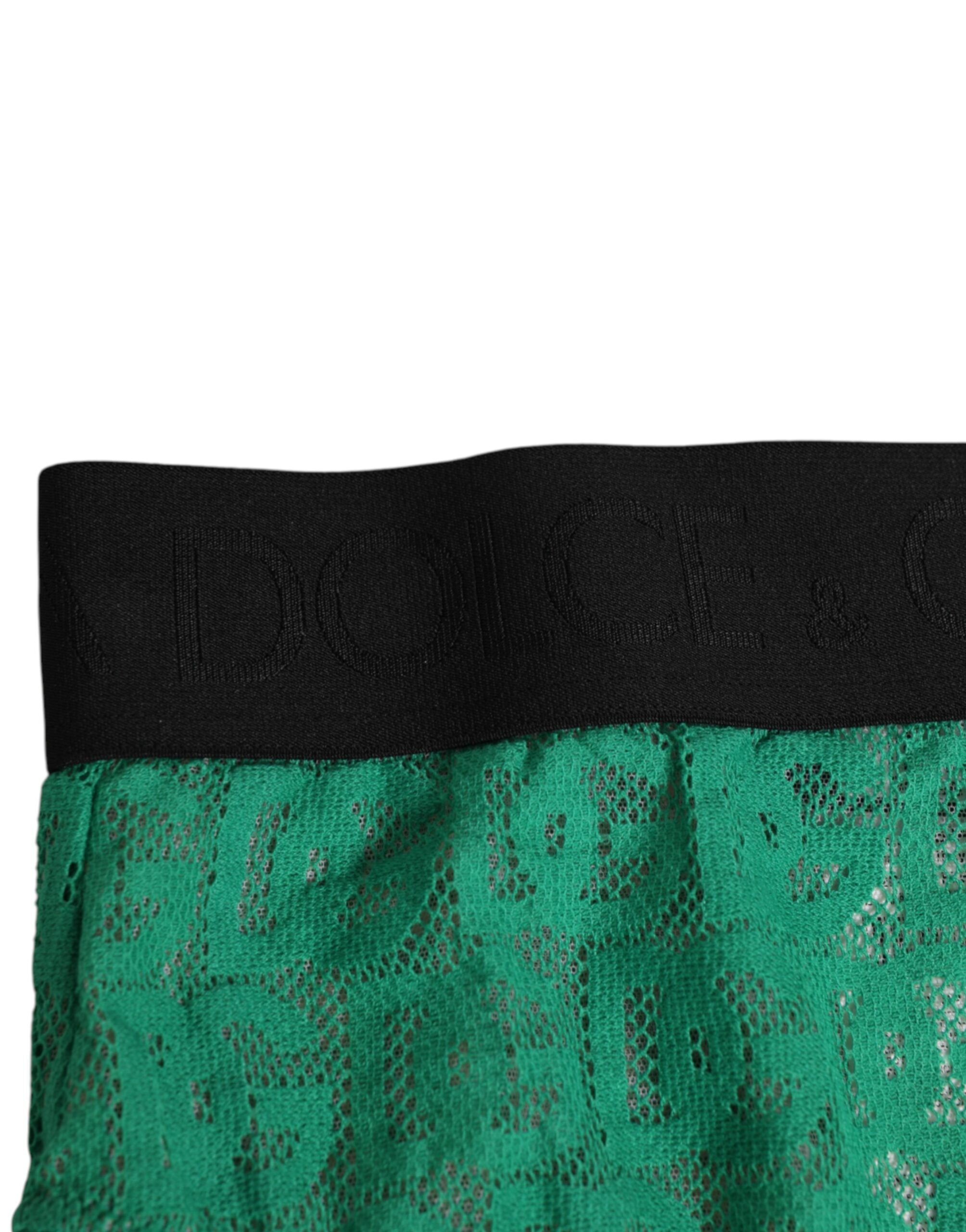 ملابس داخلية قصيرة عالية الخصر من الدانتيل بشعار DG باللون الأخضر من Dolce & Gabbana