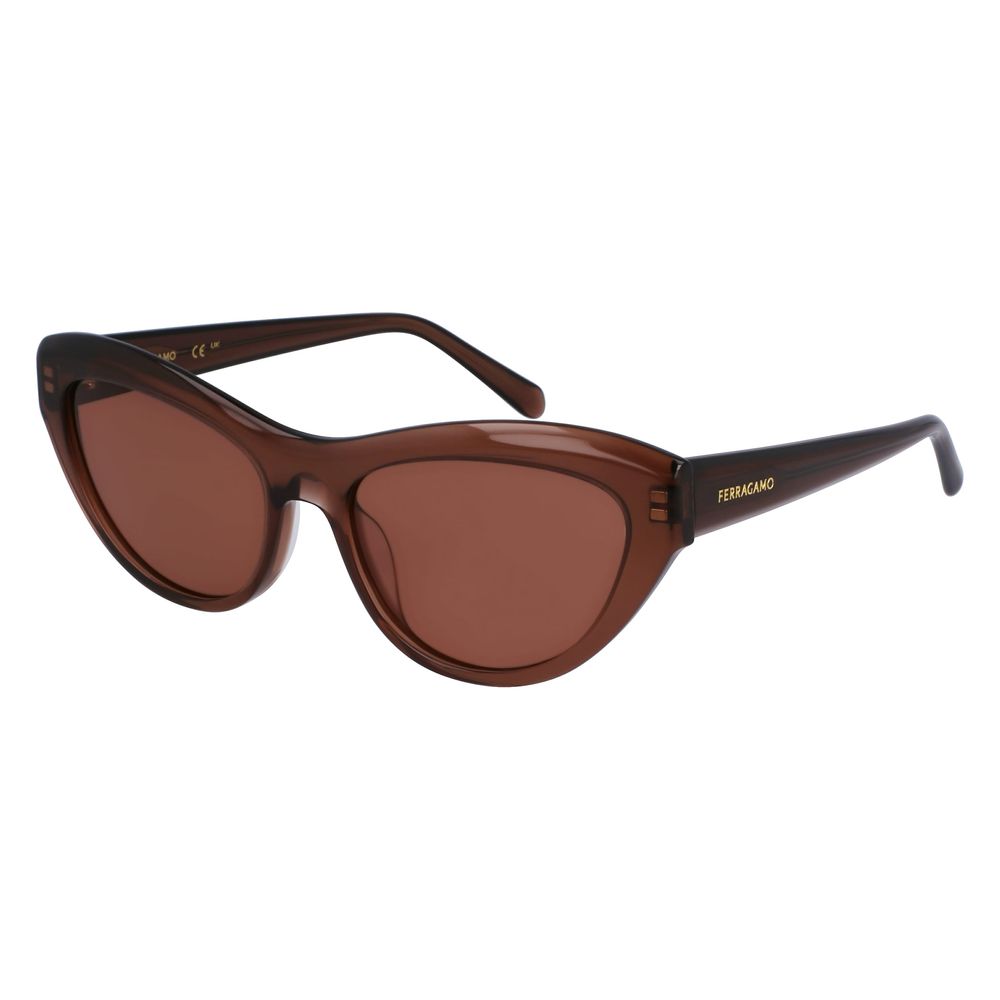 Ferragamo Brown Acetate Sunglasses - Luxe Marca