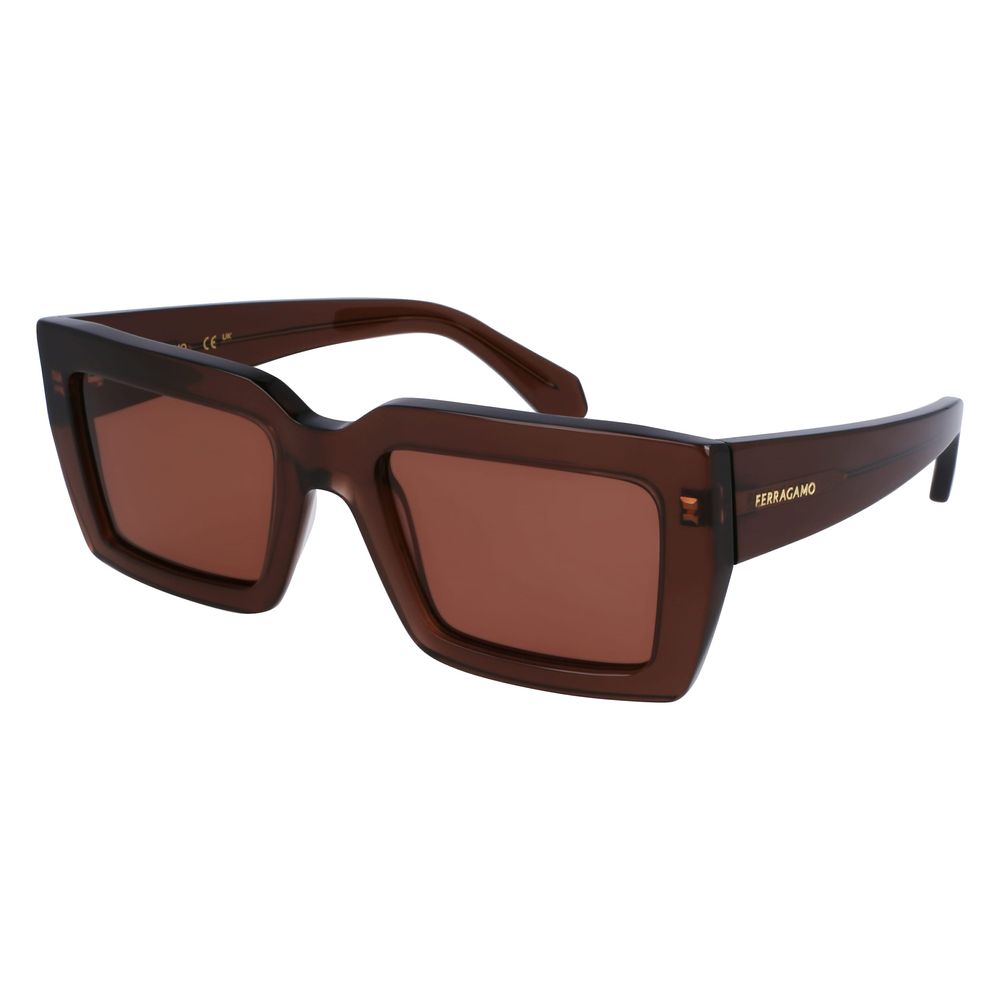 Ferragamo Brown Acetate Sunglasses - Luxe Marca