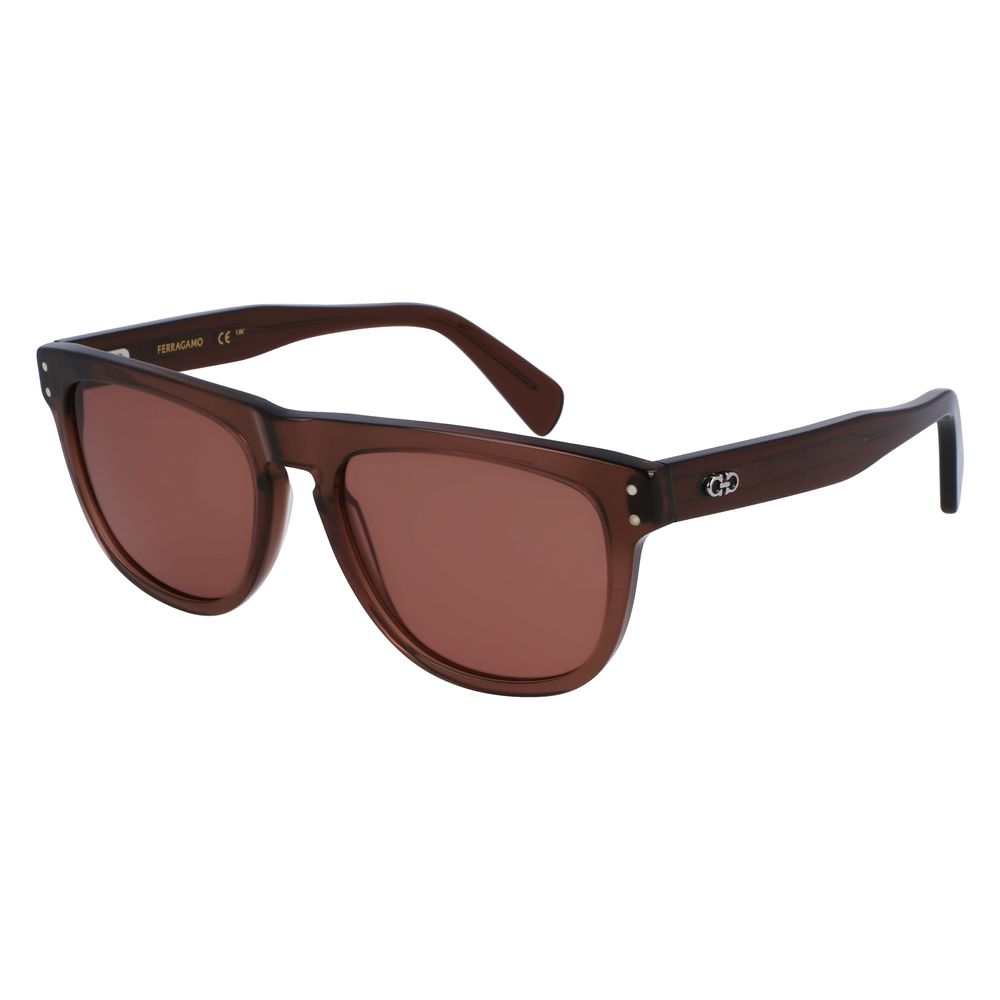 Ferragamo Brown Acetate Sunglasses
