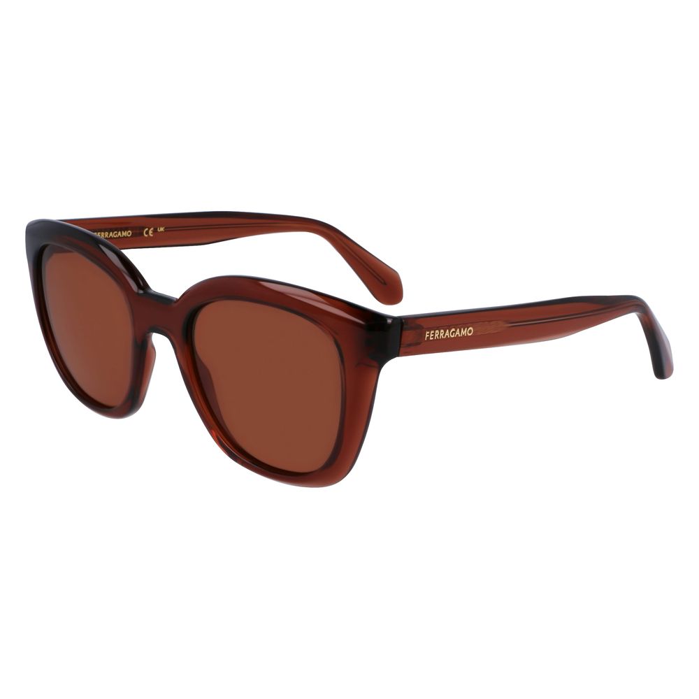 Ferragamo Brown Injected Sunglasses - Luxe Marca