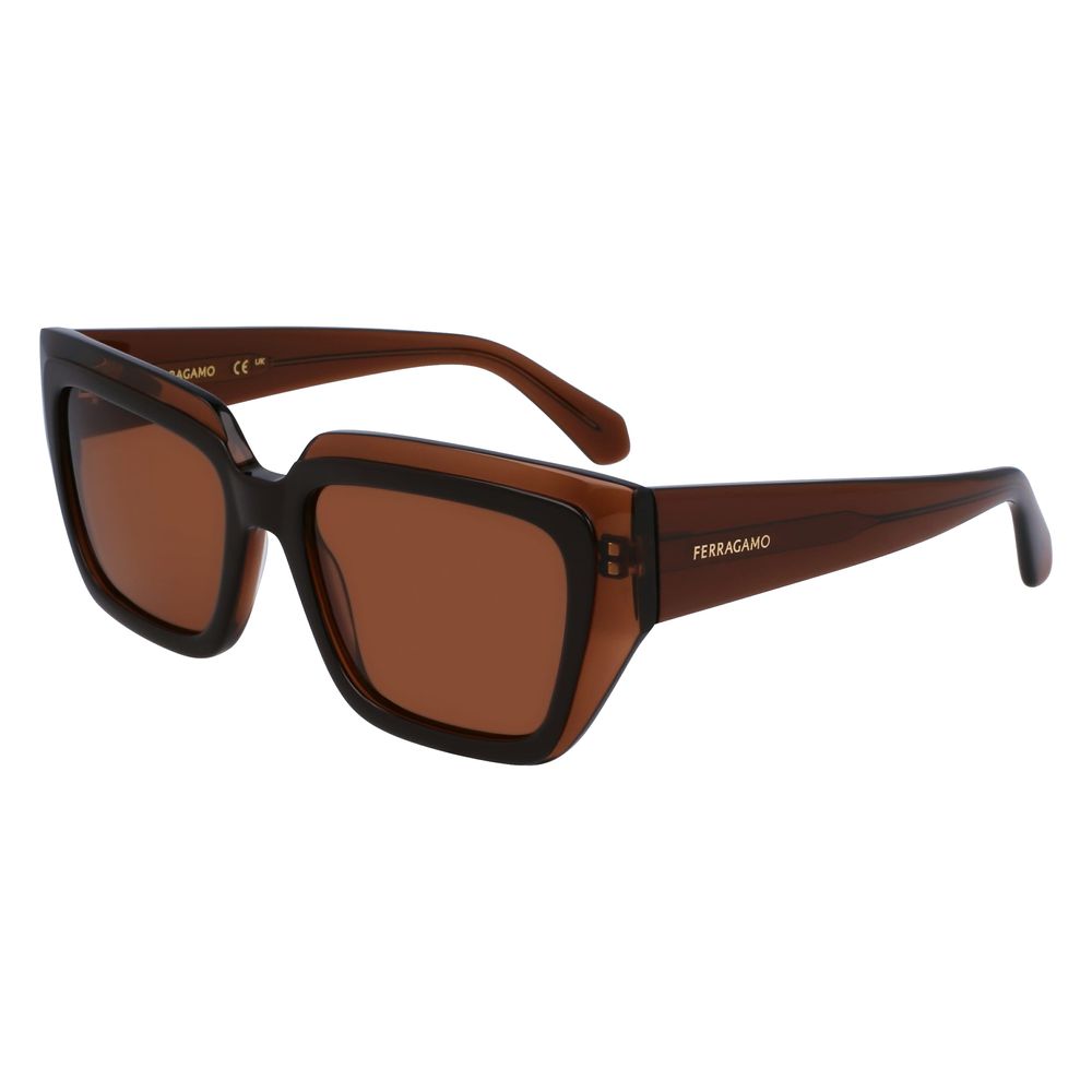 Ferragamo Brown Acetate Sunglasses - Luxe Marca