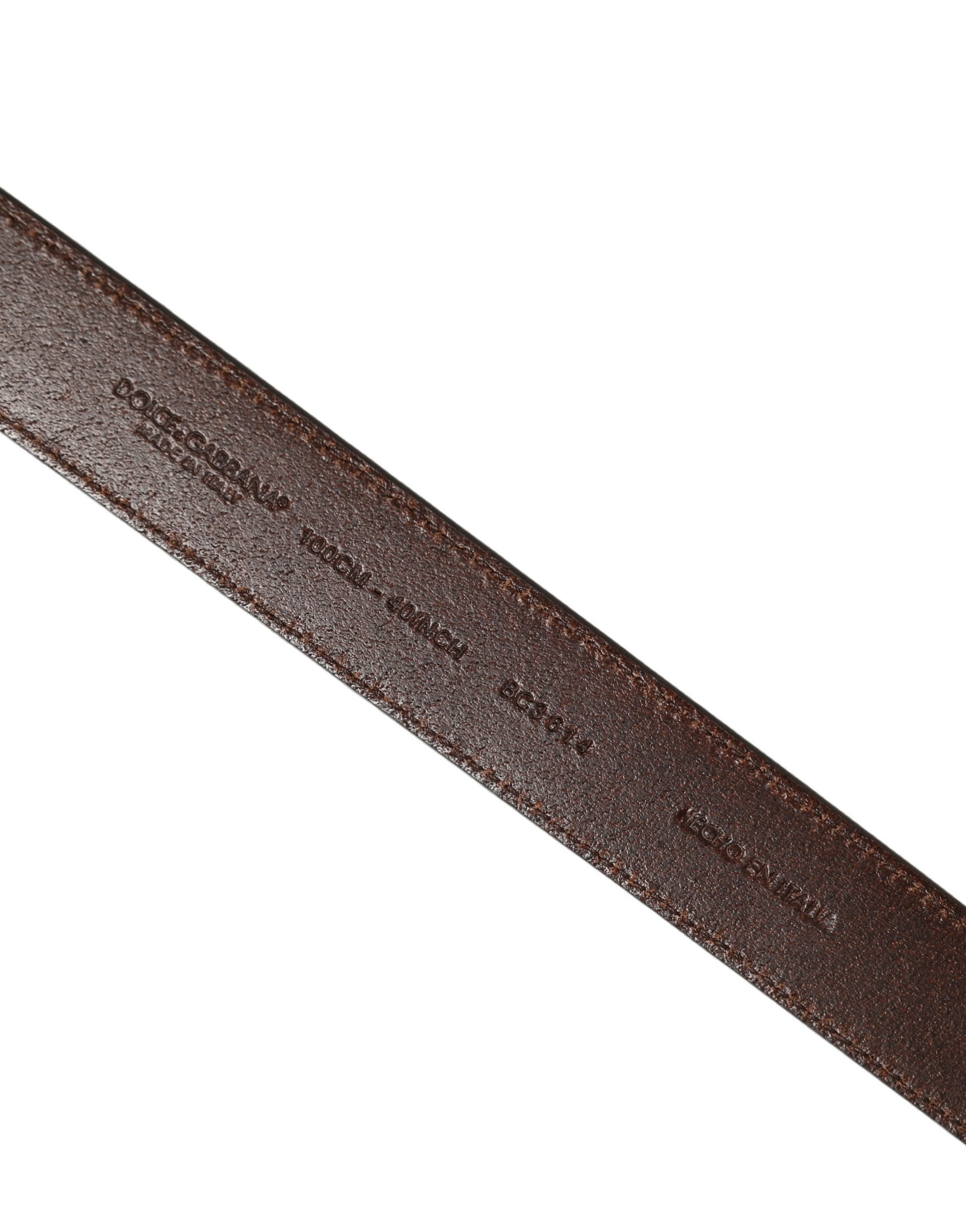 Dolce & Gabbana Brown Leather Gold Tone Metal Buckle Belt