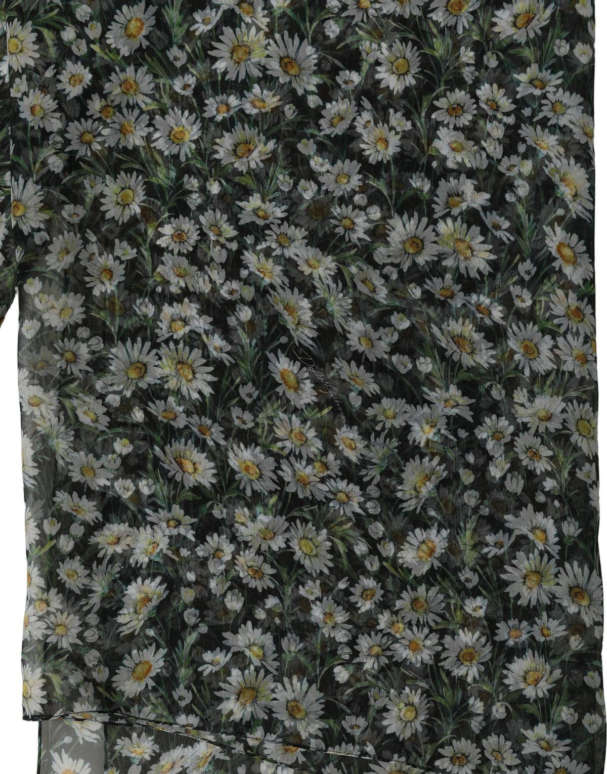 Dolce & Gabbana Black Silk Daisy Chiffon Long Stole Scarf