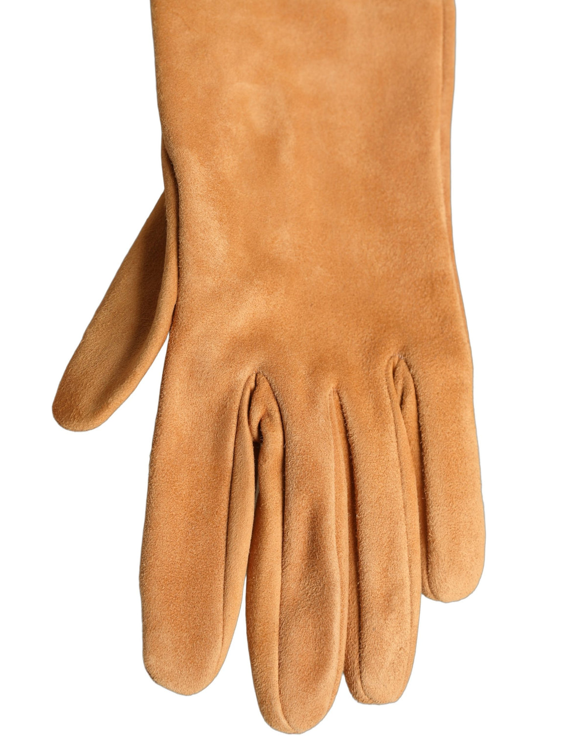 Dolce & Gabbana Tan Genuine Leather Suede Elbow Length Gloves