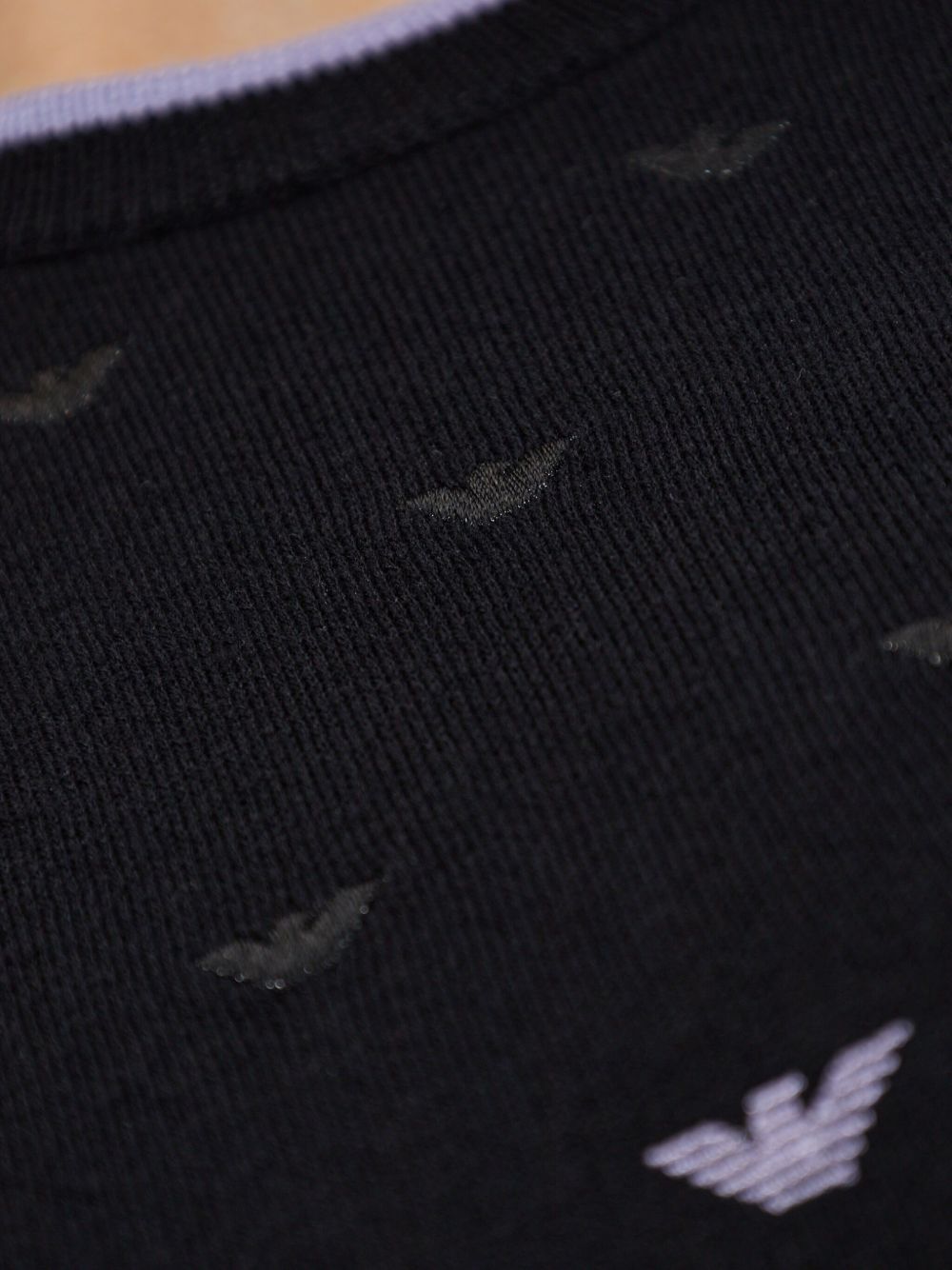 Emporio Armani Emporio Armani Jumper with all-over micro eagle embroidery