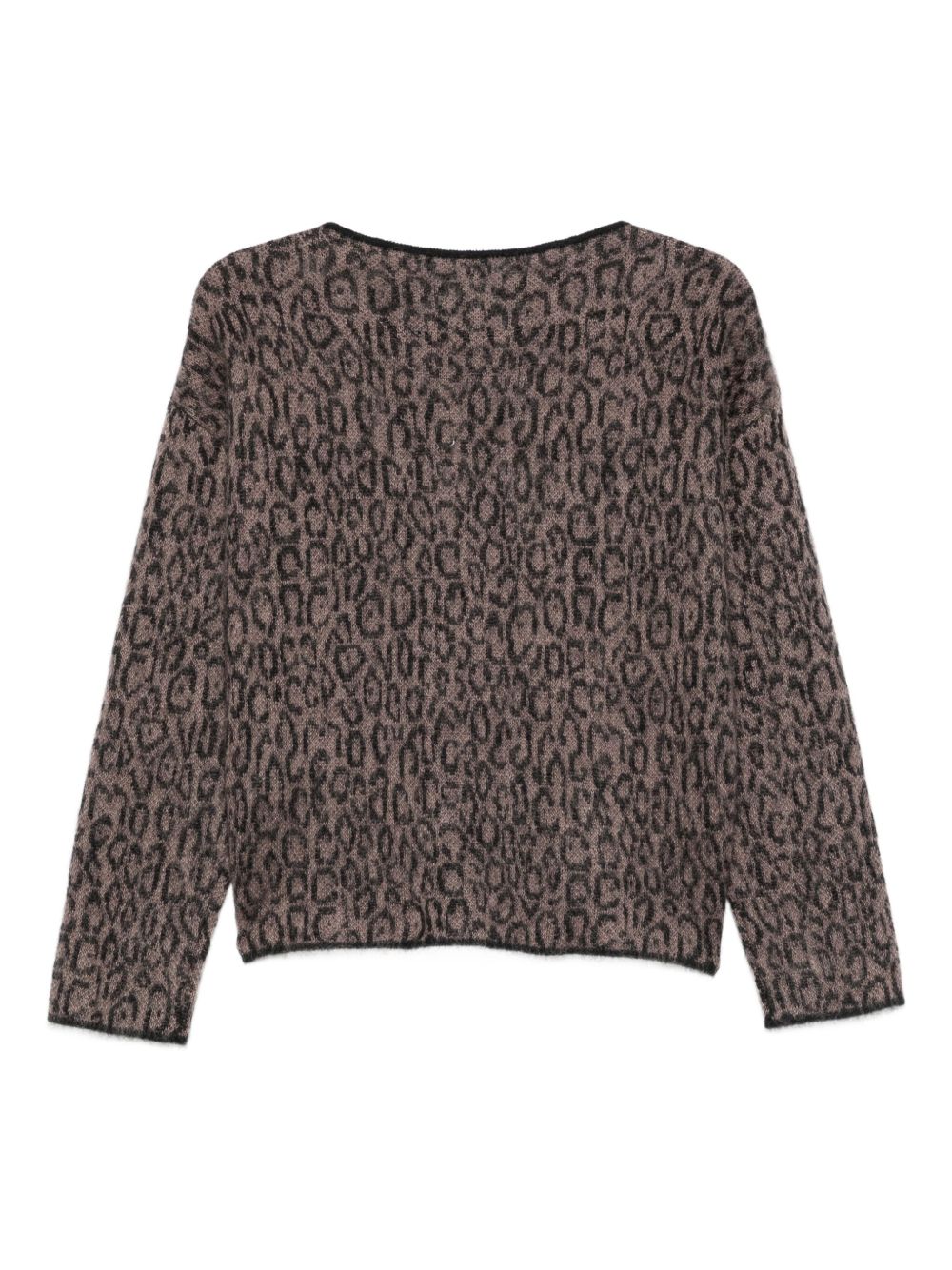 Emporio Armani Emporio Armani Leopard-print crew-neck sweater