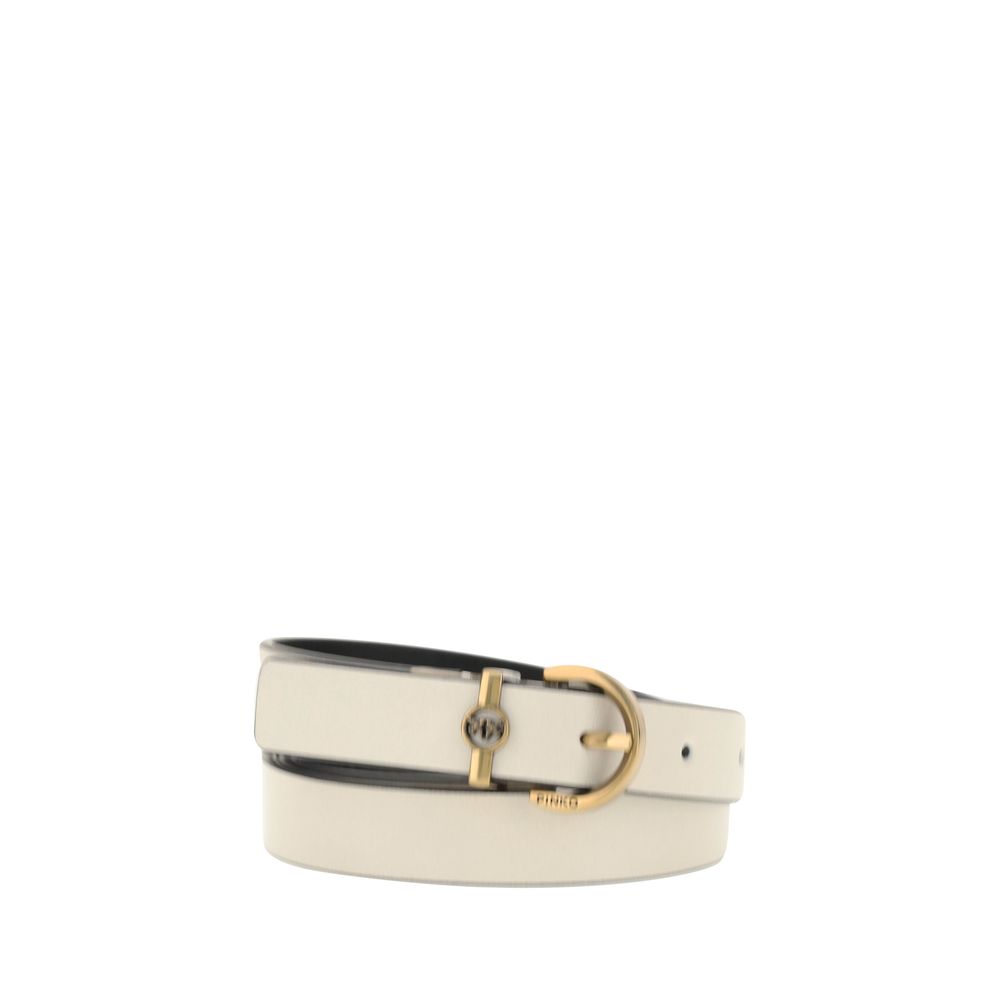 Reversible Belt