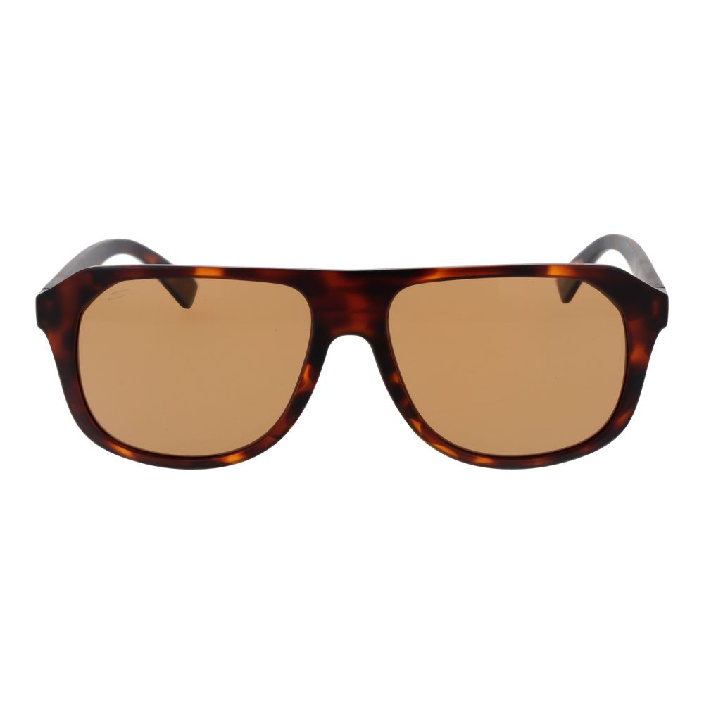Brown Men Sunglasses