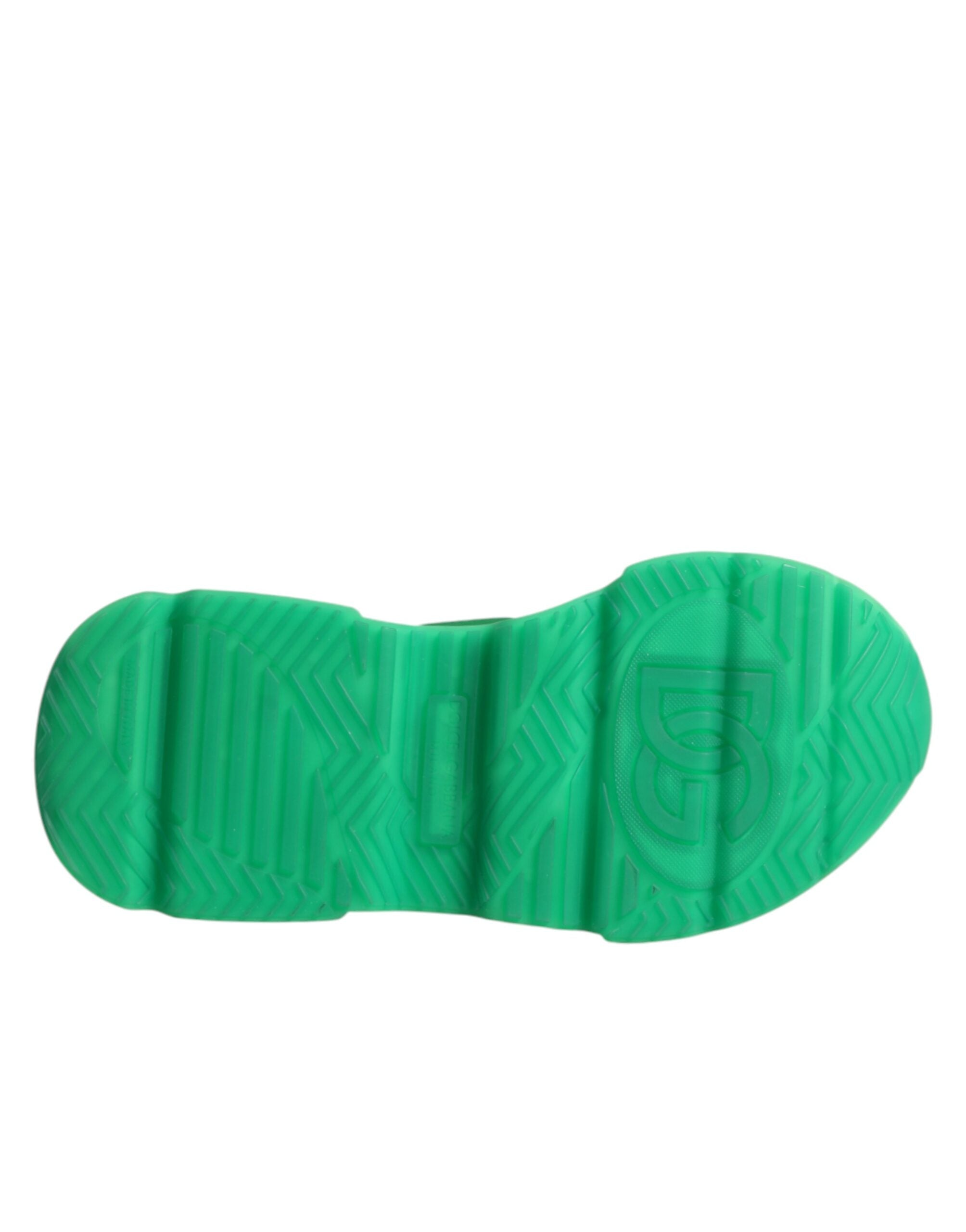 حذاء سنيكرز دولتشي آند غابانا دايماستر متعدد الألوان برقبة منخفضة