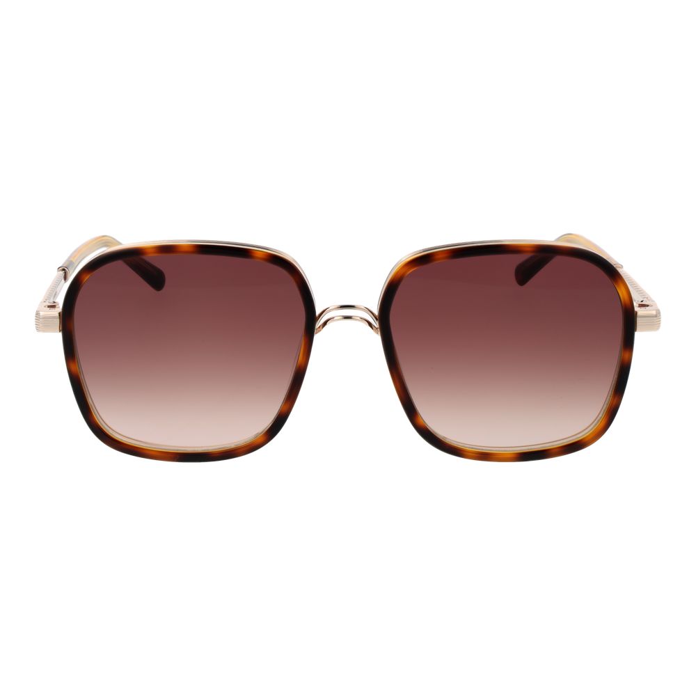 Sandro Brown Acetate Sunglasses