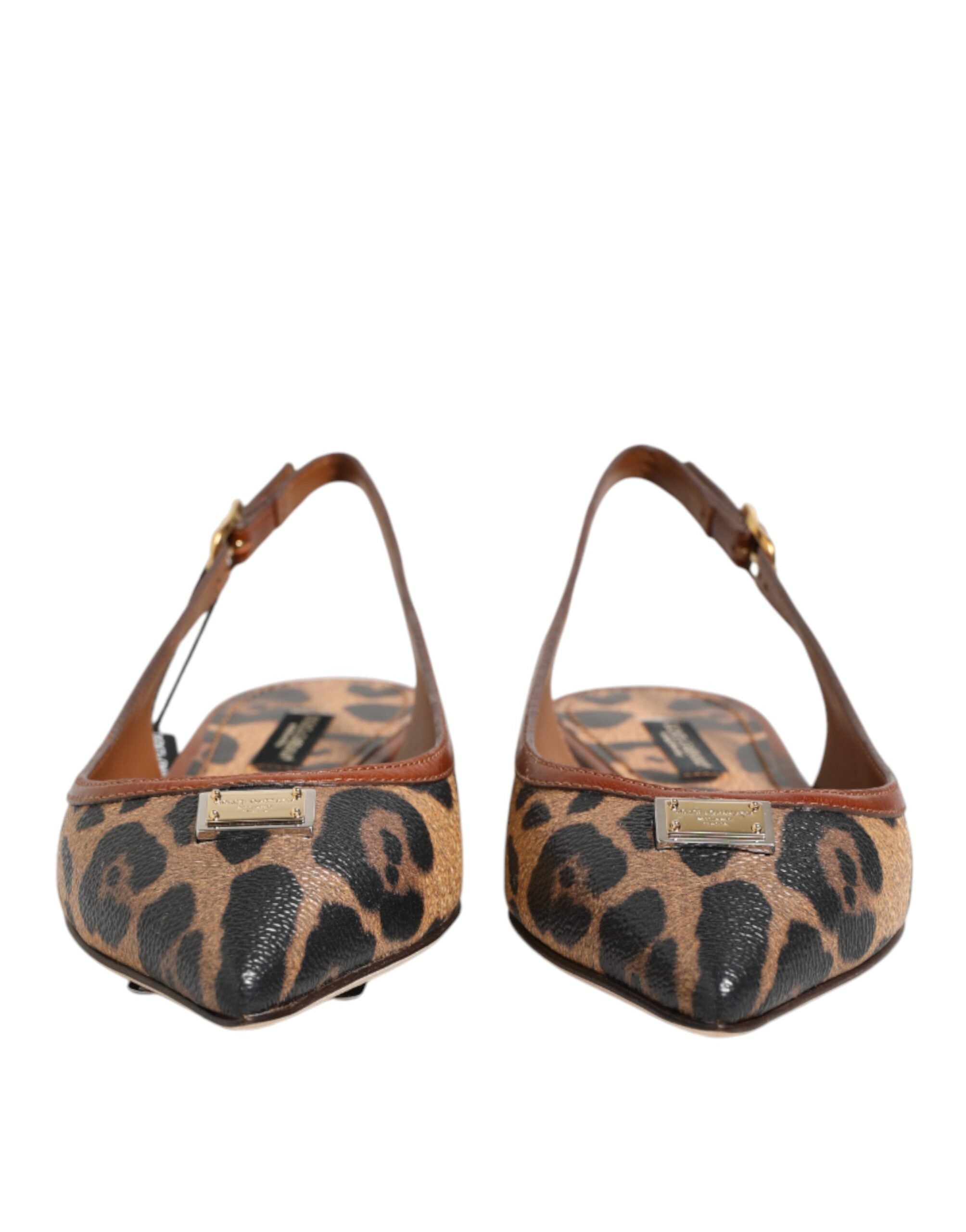 حذاء دولتشي آند غابانا بني بنقشة جلد النمر مع حذاء مسطح وصندل