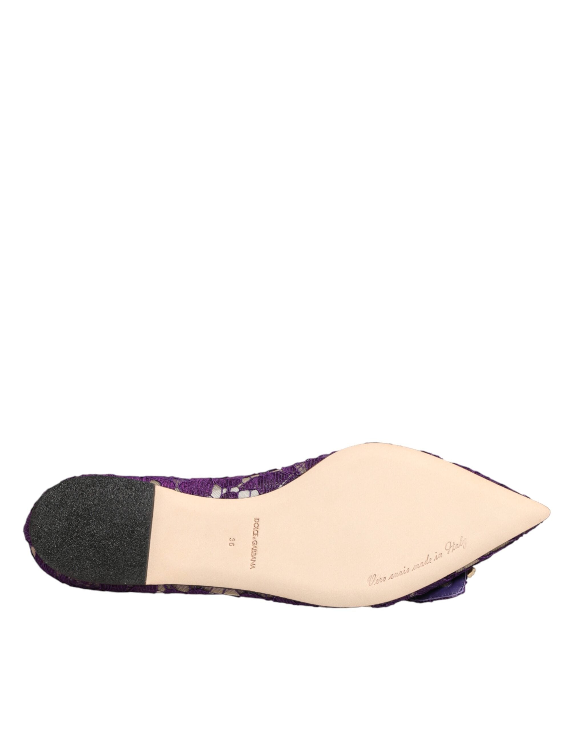 حذاء مسطح من دولتشي آند غابانا باللون البنفسجي من الدانتيل والكريستال من تاورمينا