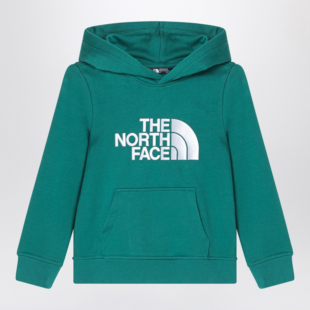 The North Face The North Face Green hooded sweatshirt